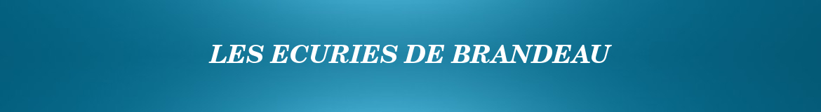 LES ECURIES DE BRANDEAU